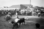 Thumbnail for the post titled: La Fiesta de la Vaquilla en Villanueva de la Cañada